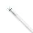 Philips Master Tubo LED T8 (EM/Mains) High Output T8 11.3W 2100lm - 840 Bianco Freddo | 120cm - Sostitutiva 36W